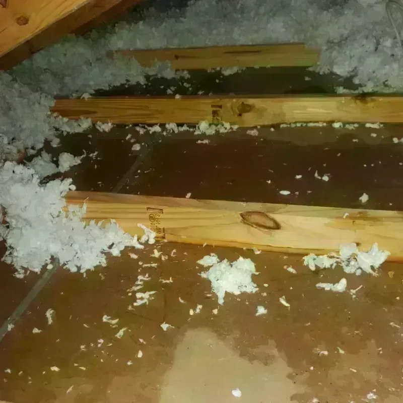 Attic Water Damage in Bacliff, TX